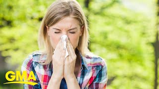 Google searches for flu season spike l GMA