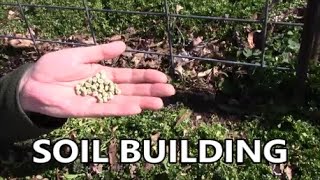 WAKE UP SPRING SOIL BUILDING 101 with SNAP PEAS