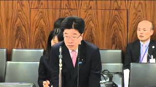 2016 03 31 参議院内閣委員会