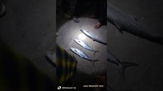 CHINNAMUTTOM HARBOUR VANJARAM SEELA FISH ACTION  சின்ன முட்டம் துறைமுகம் வஞ்சரம் மீன்  ஏலம் 💯🐟🐟🐟🐟💯💯💯