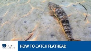 How to catch flathead on lures with Al McGlashan