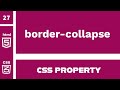 CSS Property : border-collapse explained !