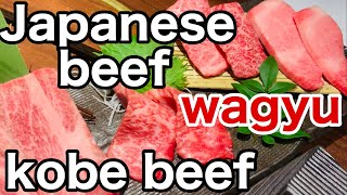 神戸牛指定店！夜の神楽坂で高級焼肉に舌鼓、世界に名の知れた【kobe beef】 Japanese beef  【wagyu】