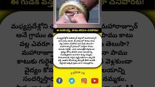 ఈ గుడికి వస్తే.. పాము కరిచినా చనిపోరట! || Fact778 || Professor Network #intrestingfactstelugu