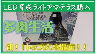 憧れの植物育成ライトアマテラス購入！　秋のお世話トップジンM散布