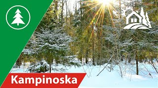 Puszcza Kampinoska