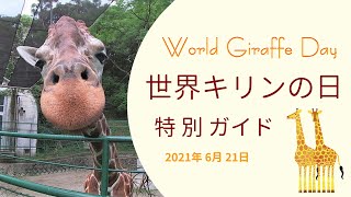 【福岡市動物園】世界キリンの日🦒 おうちで特別ガイド