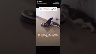 شو الموضوع ❤😂