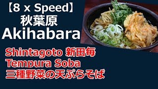 【8 x Speed:8倍速】新田毎 Lunch at Shintagoto in Akihabara,Tokyo Temprasoba 天ぷらそば