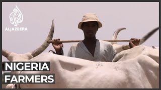 Nigeria sees solution to conflict between farmers