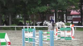 2017　北日本学生馬術大会　フレンドリー　120cm　髙橋春南選手　北騅号