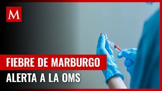 OMS llama a reunión de emergencia por brote de fiebre de Marburgo en Guinea Ecuatorial