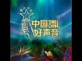 人啊（2020中国好声音第11期） 和声伴奏版