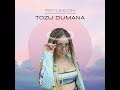 tozu dumana