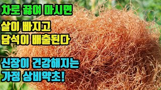 옥수수 수염-물로만 마셔도 체지방이 분해된다-만성 신장병을 치료하고, 담석배출 및 간과 담낭을 건강하게 함, 혈압과 혈당을 내려준다