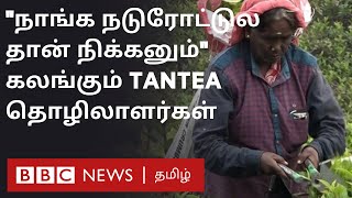 TanTea-ன் 2152 ஏக்கர் நிலம் இனி வனத்துறை கையில்; தமிழக அரசு நிறுவன தொழிலாளர்கள் நிலை என்ன ஆகும்?