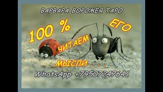 100% читаем его мысли.. Онлайн-гадание! Общий ТАРО расклад!