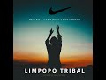 limpopo tribal feat. mike vergasin