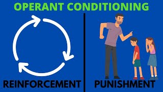 Operant conditioning in learning (Skinner's): Reinforcement and Punishment