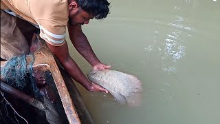 Amazing big 🐟🐟🇱🇰fishcathing video|Sri Lankan fishing