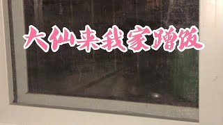 我在阳台养黄鼠狼【淋雨的蝎子】