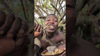 Wow That's Amazing 😍 To see how bushman enjoy their favorite meal today ‼️😋😲#cooking #hadzabetribe