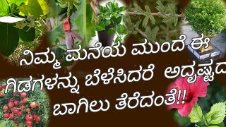 ನಿಮ್ಮ ಮನೆಯ ಮುಂದೆ ಈ ಗಿಡಗಳನ್ನು ಬೆಳೆಸಿದರೆ  ಅದೃಷ್ಟದ ಬಾಗಿಲು ತೆರೆದಂತೆ