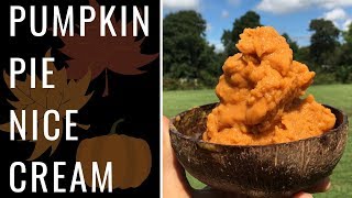 Pumpkin Pie Nice Cream (Vegan, WFPB)