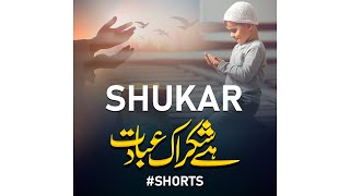 Hai Shukar Ik Ibadat - Hanzala Abdullah - Peace Studio - Peace Studio Shorts #shorts