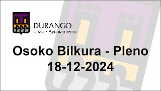 Osoko bilkura - Pleno ordinario del 18-12-2024