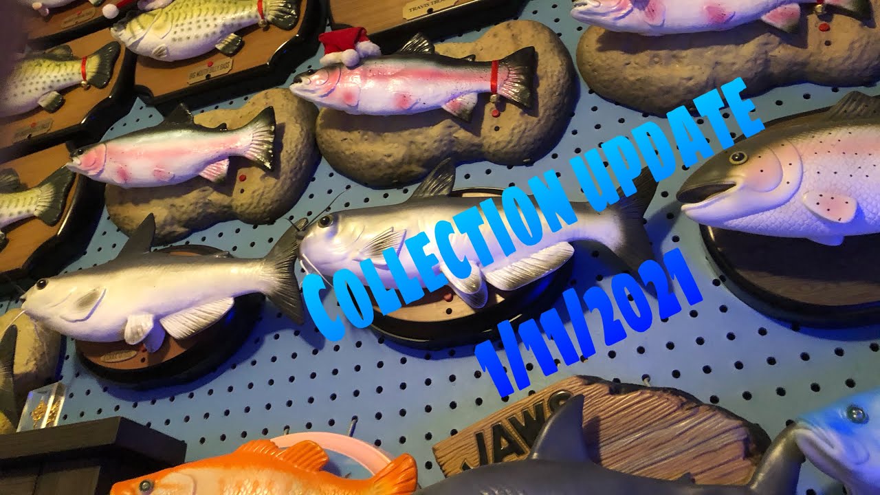 Singing Fish Collection 1 11 2021 Youtube