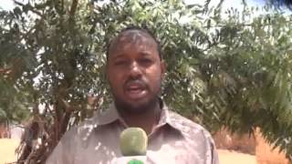 Xubni Katirsan Baarlamaanka Puntland oo Taageeray Go,aankii Shirkii Coodanle