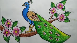how to draw a peacock step by step,easy peacock drawing,how to draw peacock by oil pastel color,