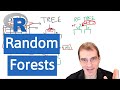 Introduction to R: Random Forests