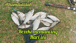 (EP:122)MEMANCING STRIKE IKAN LAMPAM BERSAMA ISTERI DI SUNGAI LINGGI