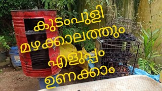 How to make dryer at home| കുടംപുളി |  kudampuli | Kudam Puli| Garcinia combogia|