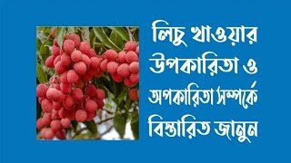 লিচু খাওয়ার উপকারিতা ও অপকারিতা।