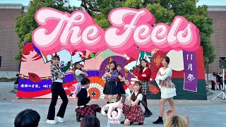 TWICE (트와이스) 'The Feels' / KPOP Dance Cover by Toppogi @NF 2024 day1