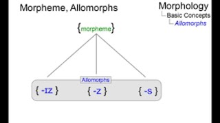 Morpheme| Morphology |bound & free morpheme| derivational& inflectional morpheme|allomorph|neologism