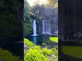 静岡には自然がいっぱい　 japan nature 夏