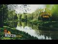 THE RIVER