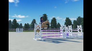 Amber et Victory - CSO C3