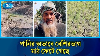 বোরো আবাদ নিয়ে বিপাকে চাঁদপুরের হাইমচরের কৃষকরা | Farmer | Rtv News