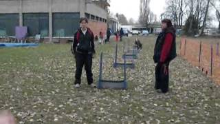 2010.11.07 Flyball edzés - Sári