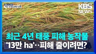 [특보] 최근 4년 태풍 피해 농작물 ‘13만 ha’‥피해 줄이려면? / KBS  2023.08.10.