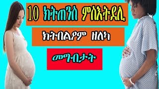 10 ክትጠንስ ምስእትደሊ ክትበልዖም ዘለካ መግብታት - top 10 food that will boost ur fertility - RBL TV