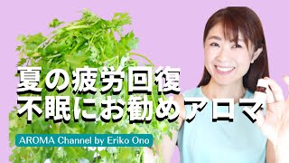 【夏の疲労にお勧め】疲労回復、胃腸の不調、不眠、アンチエイジング等うれしい作用がたくさんの精油、いつもと違うリラックス感を楽しみたい方へ　ー　Ep.73