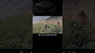 男子隱瞞病情娶漂亮姑娘，新婚當天卻要分床睡，農村現實題材電影 #劇情 #電影解說 #愛情片 #影視解說 #電影