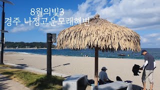 8월의빛3 경주나정고운모래해변 해수욕장