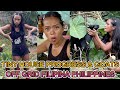 🇵🇭 2 Filipina Barbie's Tiny House Shack Collection Becoming Real House! OFF GRID LIVING PHILIPPINES